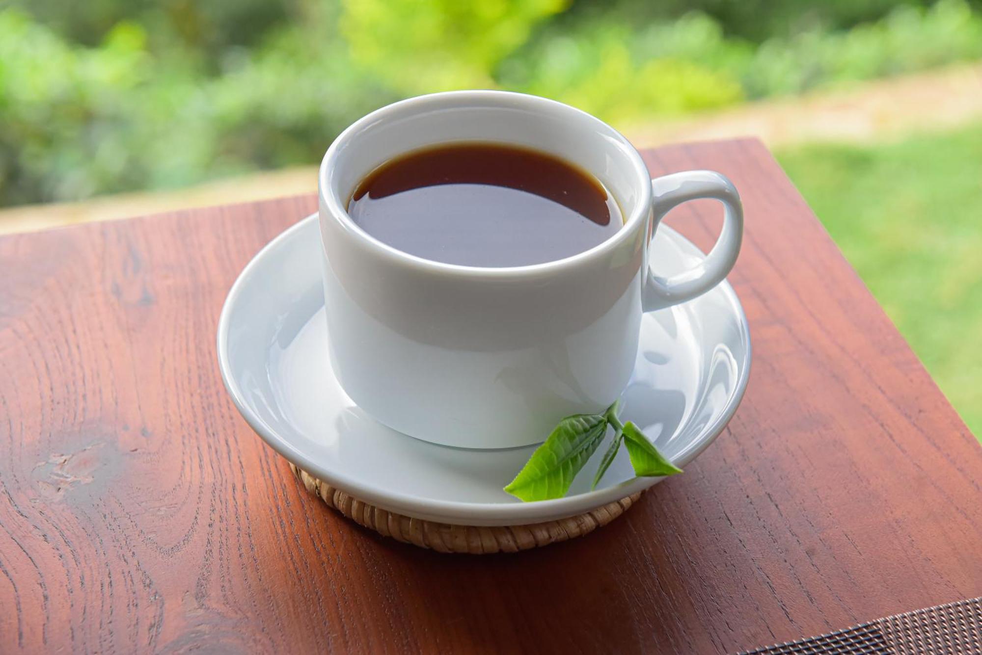 فندق Tea Hills إيلا المظهر الخارجي الصورة