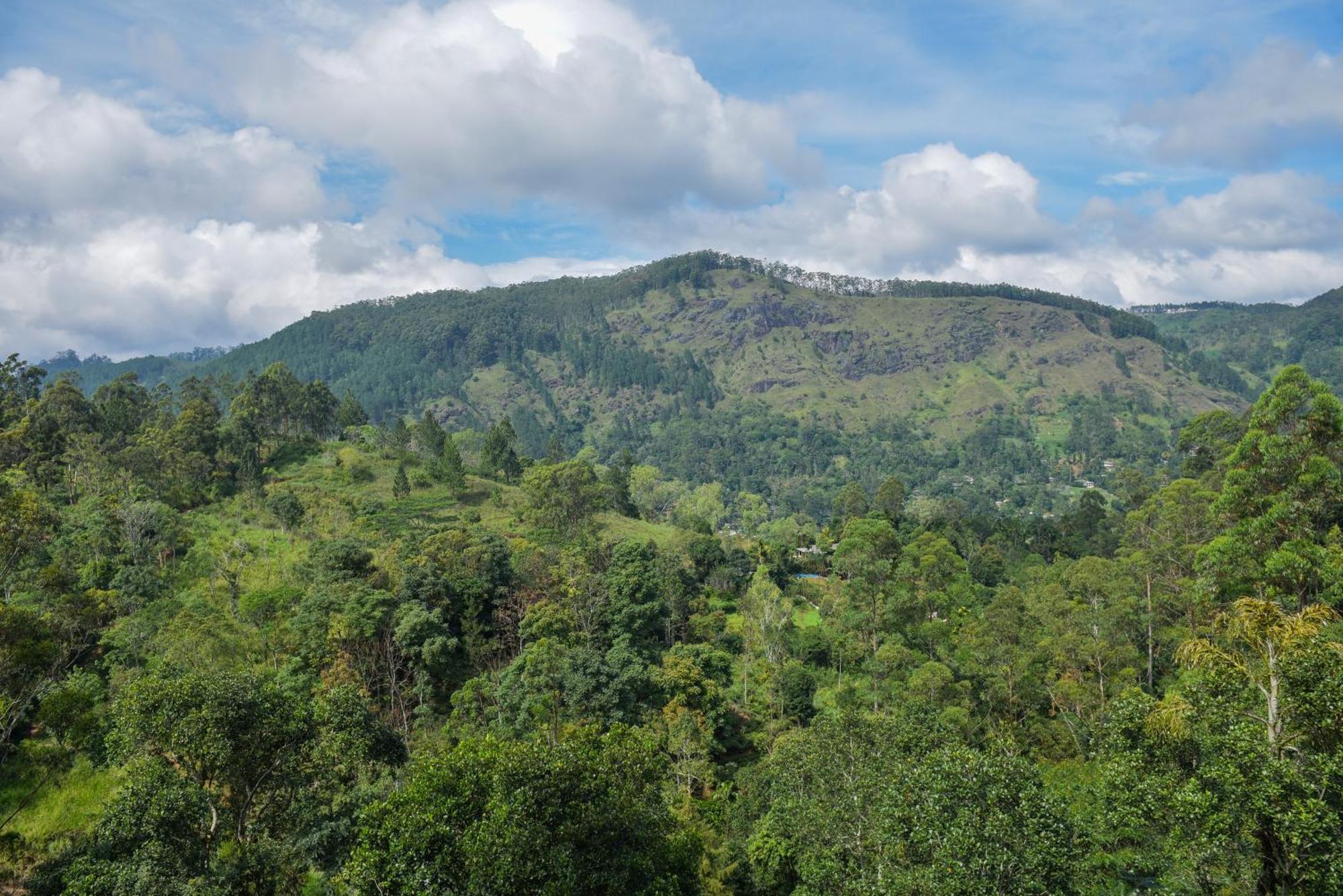 فندق Tea Hills إيلا المظهر الخارجي الصورة
